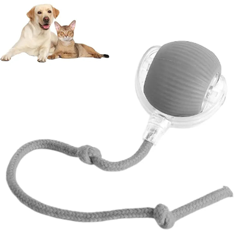 Automatic Pet Ball