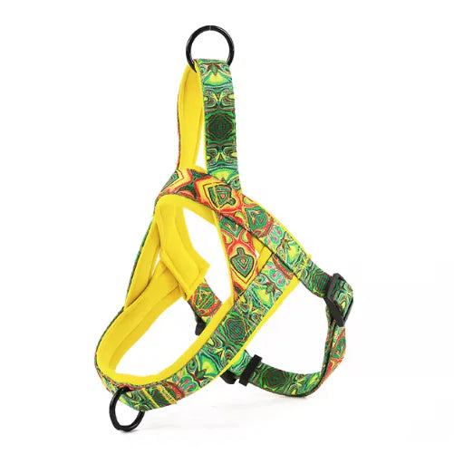 Dog Harness