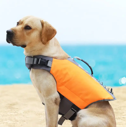 Reflective Dog Jacket