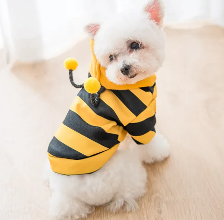 Cute Puppy Sweater