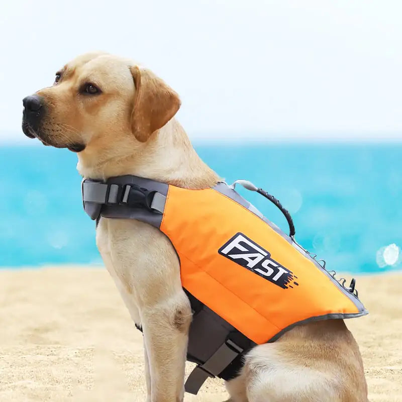 Reflective Dog Jacket