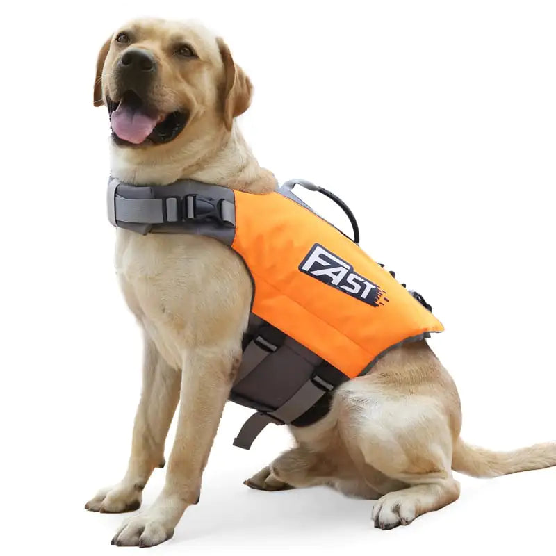 Reflective Dog Jacket