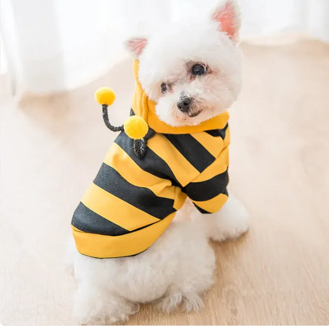 Cute Puppy Sweater